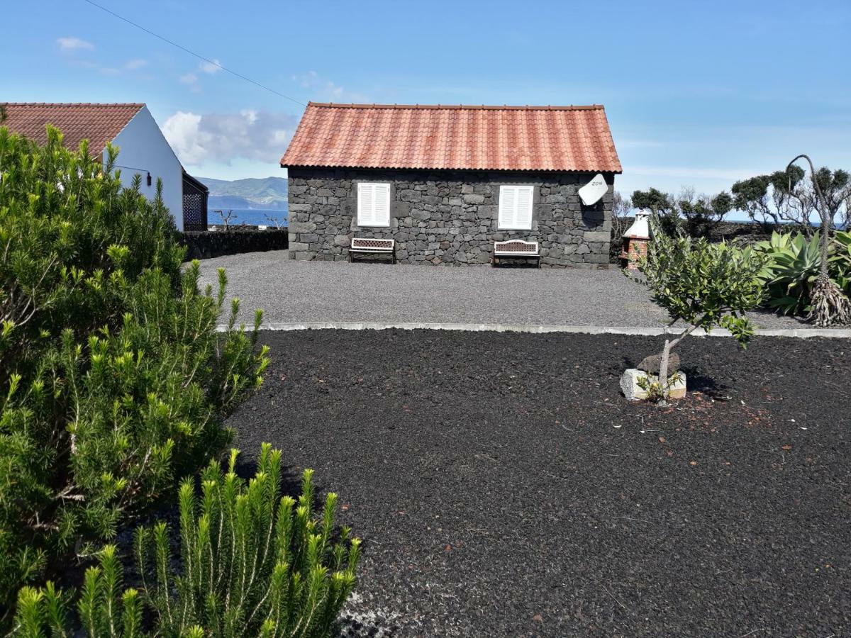 Casa Caminho Da Barca Villa Madalena  Ngoại thất bức ảnh